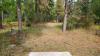 Farragut State Park - Cutthroat