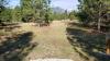 Farragut State Park - Cutthroat
