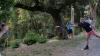 Early Man Resort