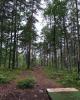 Kättsätter Discgolfbana
