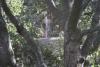 DeLaveaga Disc Golf Course