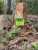 Moody Park Disc Golf Course