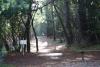 DeLaveaga Disc Golf Course