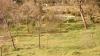 Universidad Complutense Disc Golf Course