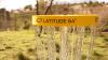 Universidad Complutense Disc Golf Course