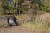 Stanton Lake Disc Golf Course