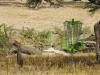 Rimpa Estates Wildlife Conservancy 