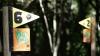 Early Man Resort