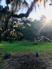 Gascoigne Park Disc Golf Course
