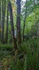Greenwell DGC