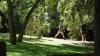 Early Man Resort