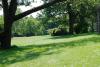 Ellison Park