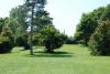 Ellison Park