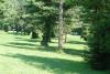 Ellison Park