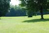 Ellison Park