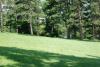 Ellison Park