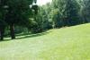 Ellison Park