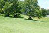 Ellison Park