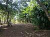 Roatan Disc Golf
