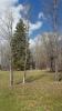 Andersons Homestead Golf and Disc Golf Course