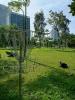Puteri Harbor Disc Golf Course