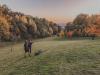 Discgolf Lions Šumperk