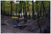 Lemon Lake County Park - Gold