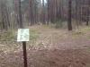 Grynwald Disc Golf