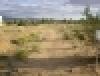 Cactus Flats