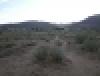 Cactus Flats