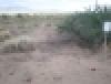 Cactus Flats
