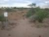 Cactus Flats