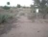 Cactus Flats