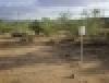 Cactus Flats