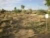 Cactus Flats