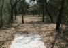 Northwest Vista College Disc Golf Course