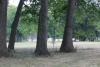 Ella Sharp Disc Golf Course