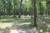 Ella Sharp Disc Golf Course