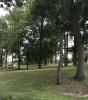 WC Griffith Disc Golf Course at Faircrest Park