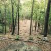 501 Disc Golf