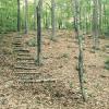 501 Disc Golf