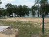 The Bear at Compass Lake