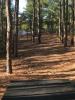 Cape Henlopen State Park