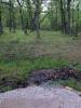 Williams Park - Timber Valley Disc Golf