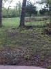 Williams Park - Timber Valley Disc Golf