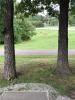 Williams Park - Timber Valley Disc Golf