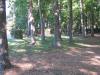 Hampton 9 Disc Golf Course
