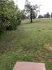 Williams Park - Timber Valley Disc Golf