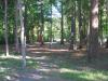 Hampton 9 Disc Golf Course