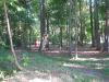 Hampton 9 Disc Golf Course